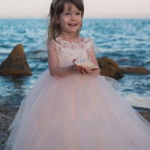 Blush Pink Flower Girls Dresses for Wedding Cheap LAce Flower Ball Gown Girls Pageant Dresses Vestidos De Primera Comunion 2020