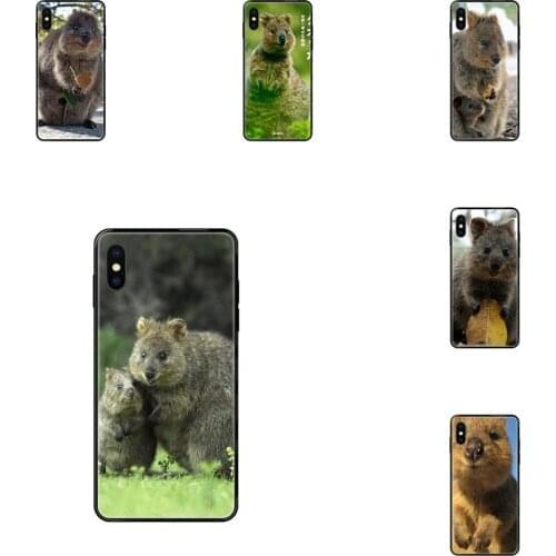 Animal Quokka Design For Xiaomi Mi Note A1 A2 A3 5 5s 6 8 9 10 SE Lite Pro Ultra Black Soft Art Print Cover Case