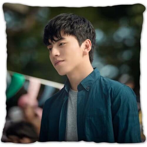 The Girl We Chased Together In Those Years Wang Dalu Pillowcase Pretty Scholar Yu Lexuan SameStar Poster Cushion Cover Souvenir