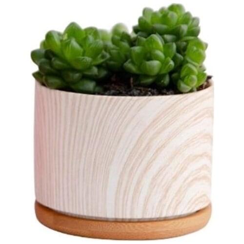 Nordic Marble Ceramic Succulent Flowerpot Mini Potted Desk Furnishings Straight Round Balcony Green Planting Home Garden