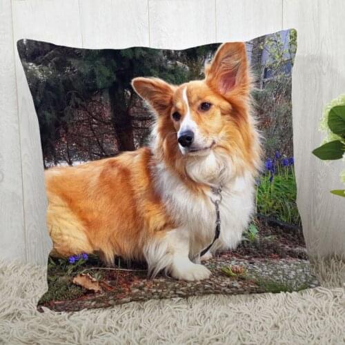 Dachshund Pillow Cover Customize Pillowcase Modern Home Decorative Pillow Case For Living Room 45X45cm,40X40cm A2020.4.29