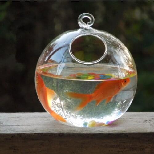 Free Shipping 4pcs/pack Diameter=12cm Hanging Glass Ball Aquarium Small Open Home Decoration Creative Terrarium Vase