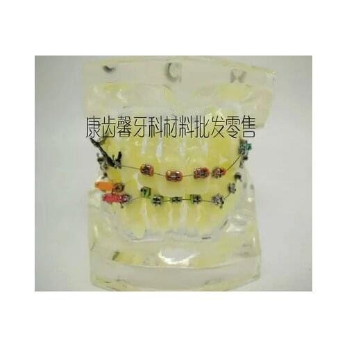 Orthodontic teeth model Deformed tooth Corrective model Dental materials free shipping