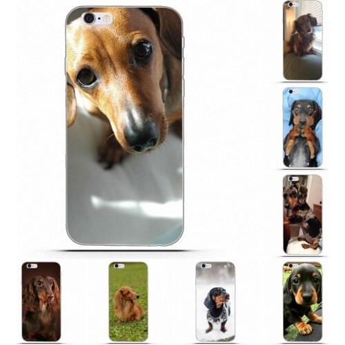 Wexoeq Animal Dachshund Soft TPU Protective Skin For Huawei Honor 4C 5A 5X 6A 6C 6X 7X 9 V8 V10 Mate 7 8 10 P9 P20 Pro Lite Play