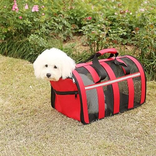 2in1 Pet Carrier for Small Cat Dogs Puppies Space Capsule Collapsible Pet Bags with Perspective Mesh Outdoor Use JS22