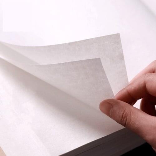 20 Sheets Chinese Calligraphy Paper Brush Ink Writing Mica Ripe Xuan Paper Sandalwood Xuan Paper Rice Paper for Copywriting