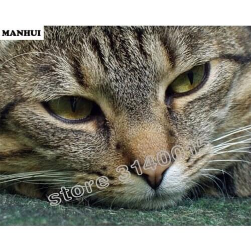 Diamond painting Cat head Cross stitch Kits needlework mosaic Diamonds Embroidery Home Decoration wall sticker BFC380