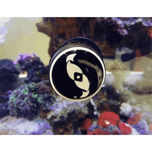 HONGYI The two little fish algae remove brush magnetic strong tight mini aquarium water plant reef marine fish tank maintenance