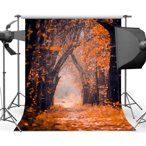 Mehofoto Maple Leaf Path Backdrop for Photography Forest Photo Background Booth Studio for Professional Photographic S-2339