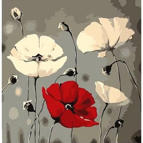 Paint By Numbers for Adults Beginner Kids, Number Painting - Red Poppy Flowers 40X50 Cm - Wall Art Gifts (No Frame)