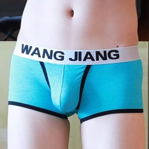 Men Ice Silk Underwear Boxer Shorts Sexy Bikini Homme Underpants Low Waist Thin Breathable Boxers Male Panties