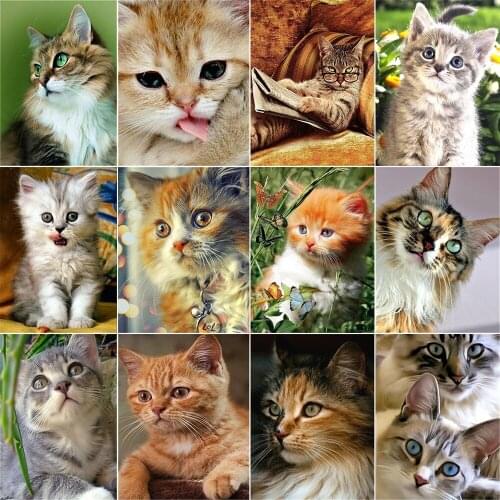 XUEQIXIAOZU Full Round Cat Diamond embroidery 5D DIY Diamond painting Diamond mosaic painting Home decoration gifts 2002 New