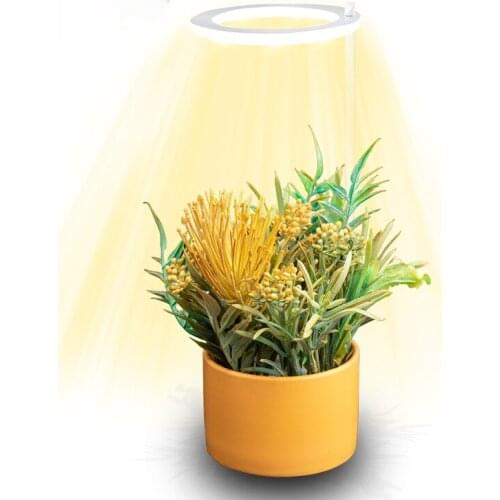 Phytolamp For Plants USB LED Grow Light Phyto Lamp For Orchids Seedlings Flowers 5V Indoor Desk Full Spectrum Growth Lighting