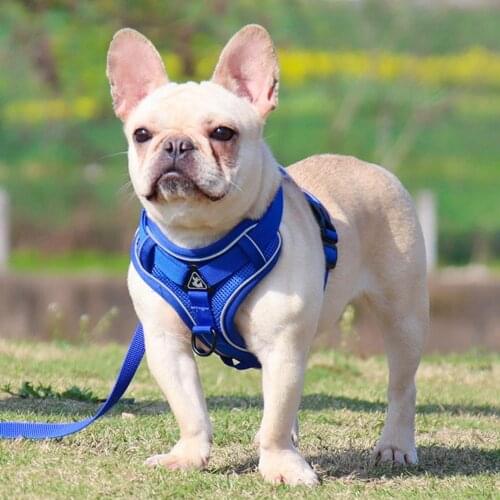Pet Harness Reflective Walking Safety Comfortable Sandwich Mesh Dog Safe Chest Strap Leash Home Pet Supplies Accessories