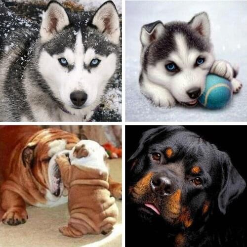 5D Diamond Painting Animal Cross Stitch DIY Diamond mosaic Embroidery Dog pattern Resin diamond art home decoration painting