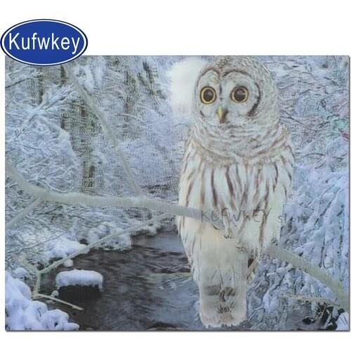 Snow owl 3d diamond painting landscapes cross stitch diamond embroidery full drill square round mosaic Painting home decor bird