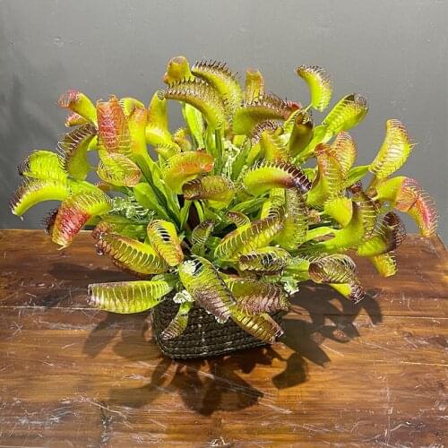 1pc Rainforest Cordyceps fake flower plants diy home garden bonsai decoration plant wall material