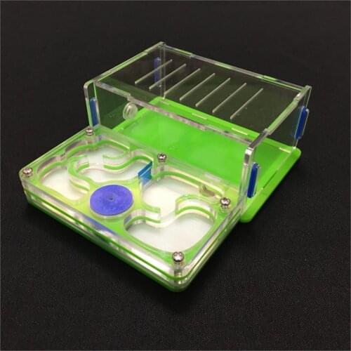 Ant-grape M plane moisture with feeding area ant nest,ant farm acrylic,insect ant villa pet advanced mania for house ants