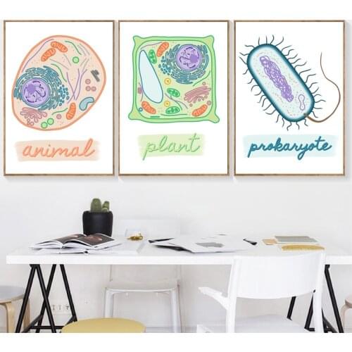 Types of Cells Posters Cell Wall Art Prints Science Biology Classroom Wall Decoration Canvas Painting Pictures Student Gifts