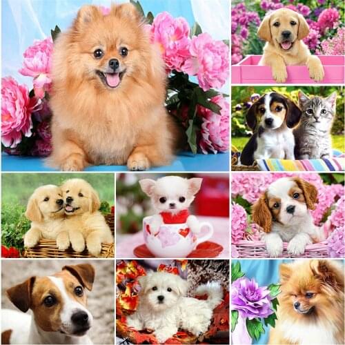 5D DIY Diamond Embroidery Dog Full Square Diamond Painting Animal Picture Of Rhinestone Cross Stitch kits Mosaic Art Wall Decor