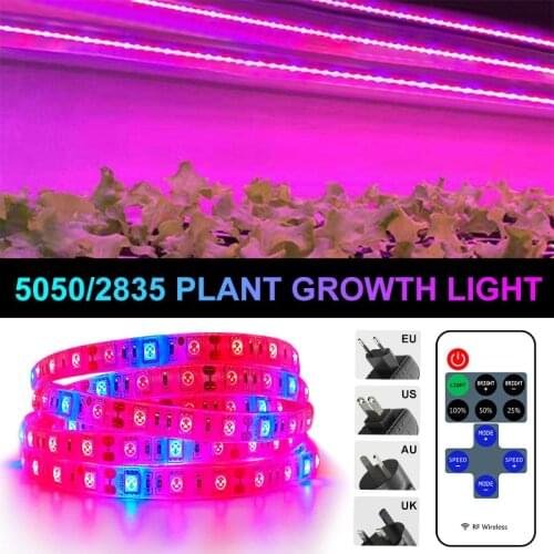 Phyto LED Plant Grow Lamp LED Strip Light 5050 Full Spectrum Hydroponic Tape for Seeds Plants Greenhouses Growth Light Dimmer