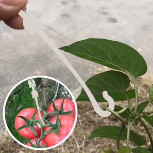 J Shaped Fruit Cherry Tomato Ear Hook Garden Vegetable Plant Grape Support Vines Fastener Clips Trellis Fixed Buckle Hook 50pcs