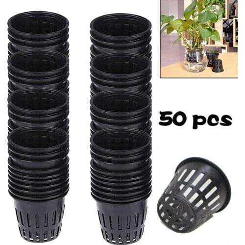 50Pcs Soilless Hydroponic Plant Plastic Cup Garden Wheatgrass Nursery Growing Sprout Pots