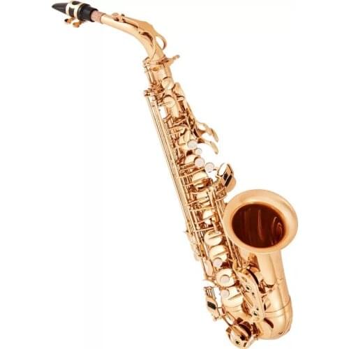 Saxophone E flat Treble Playing Instruments in Grade Examination Beginner Learning Adult Children