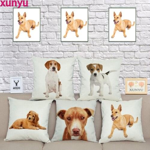 XUNYU Cushion Cover Pet Dog Pillow Case Home Decorative Throw Pillow Covers for Sofa Car KQ25 45x45cm