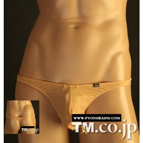 2017 Mens Bikini Sexy Gay Underwear High Quality Lower Body Elastic Bodyguard Sexy Pants Sexy Bags Underwear Cueca Gay Size XXL