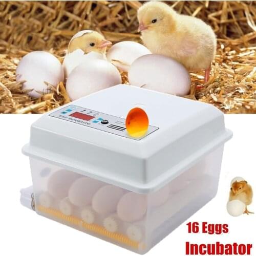 Egg Incubator Automatic Intelligent Farm Egg Hatchery Machine Digital for Farm Chicken Goose Quail Brooder Incubator Egg Hatcher