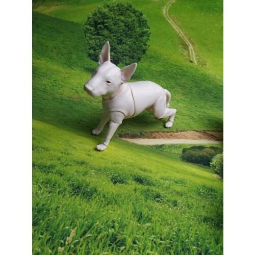 Bull dog puppy 6 points bjd doll doll cute pet free eyes