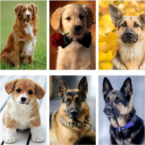 100% Full Round Drill 5D DIY Diamond Painting "Animal German Shepherd dog" Diamond Embroidery Cross Stitch 3D Decor