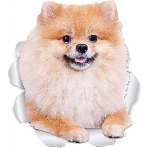 For Pomeranian Dog Car Styling Stickers Trunk Decal Waterproof Vinyl Material Suitable for VAN RV 13cm X 11cm