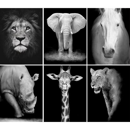 5D DIY Diamond Painting Black White Animal Lion Elephant Full Diamond Embroidery Mosaic Rhinestone Home Decor Living Room Gift