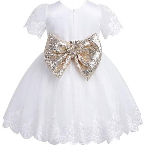 Newborn Infant Baby Girl Dress Princess Dresses Toddler Girls Embroidered Sequins Bowknot Flower Girl Dresses For Weddings Party