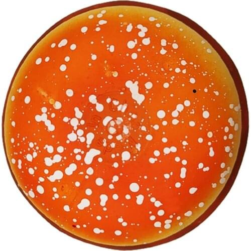 28EC Realistic Model Food Sensory Toy Vent Ball Pinch Ham for Office Hand Therapy