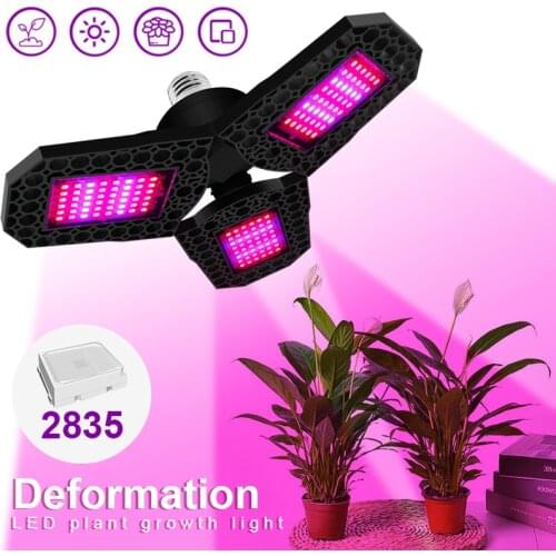 JUTYN LED Plant Lamps