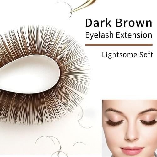 Abonnie Dark Brown Eyelashes 8-15mm Brown Individual Eyelash Extensions Mink Lashes Tray Colorful Lashes