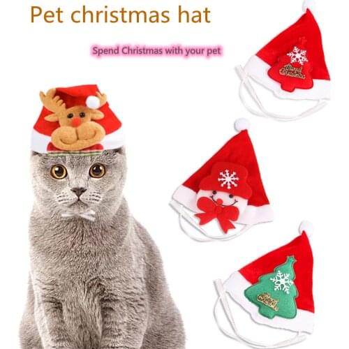 DUTRIEUX Hats For Dogs