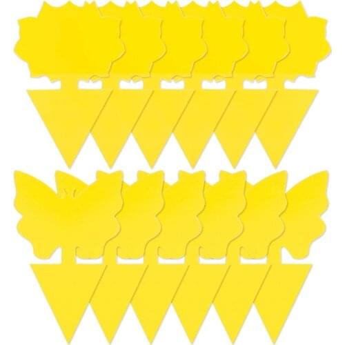 Sticky Fruit Fly Trap and Fungus Gnat Traps Killer for Indoor and Outdoor, Protect The Plant, Non-Toxic and Odorless