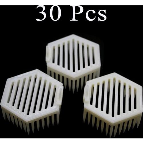 30PCS Virgin Bee Cage Professtional Intruduction Swarm Plastic Needle Type Queen Rearing Apiculture Tools Supplies Beekeeping