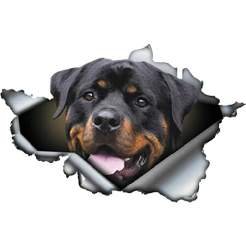 Dawasaru Funny Rottweiler Pet Dog Car Sticker Waterproof Lovely Decal Laptop Motorcycle Auto Accessories Decoration PVC,13cm*8cm