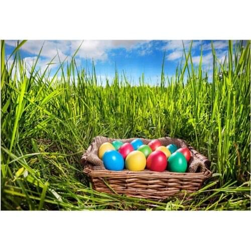 Photo background happy easter eggs basket grass wild field real children background photography backgrounds for photo shoots