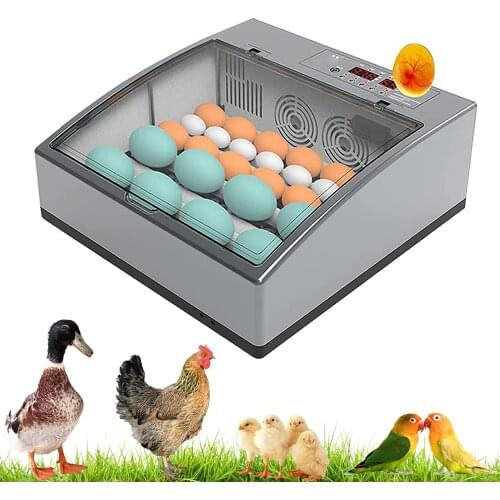 Car storage box Car storage tools Foldable storage box for trunk Multifunctional folding storage box Water storage box 30L