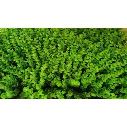 Simulation Eucalyptus lawn decorative grass wall 40 * 60 fake grass wedding decoration