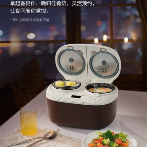 THESUNS Mini Rice Cooker 1.6L Home Electric Rice Cooker with Double Bladder and One Body for 1-3 People 220V