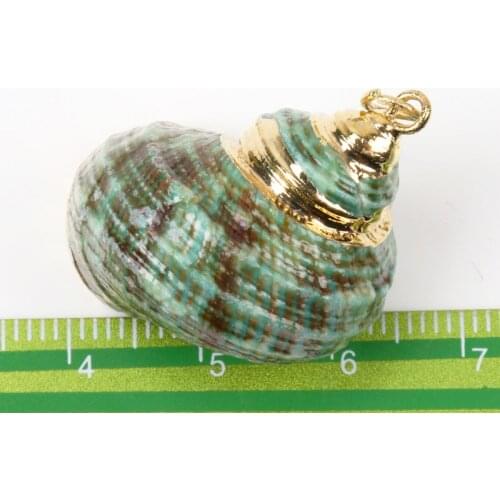 Natural Spiral Shell Charm Pendants Conch At Random Glod plated for jewelry making Diy 25mm 2pcs