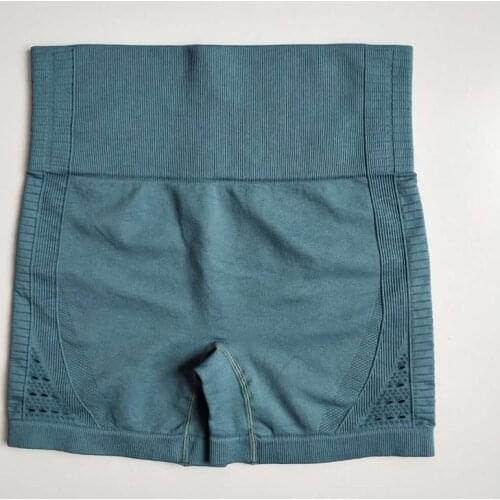 9 Colors Seamless Sport Shorts High Waist Women Fitness Workout Yoga Shorts Push Up Hip Super Stretchy Sports Running GYM Tights