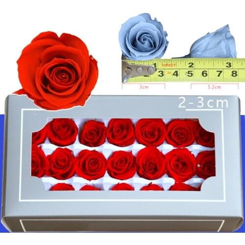 Diy Preserved Flowers 21pcs/box 2-3cm Flowers Wholesale Immortal Rose Material Artificial Plants Home Wedding Decor